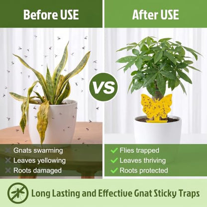 Yellow Sticky Fruit Fly Trap 54 Pack, Gnat Traps for Indoor House Plants - size: 54 Packs