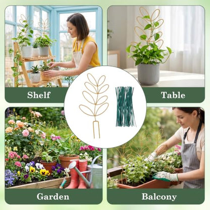 12.2 Inch Small Trellis for Potted Plants Indoor Plant Trellis