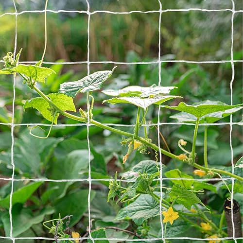 Tcamp Heavy-Duty Polyester Plant Trellis Netting - size: 3.5" Mesh(5*30 Ft) - 2Pack