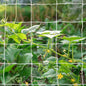 Tcamp Heavy-Duty Polyester Plant Trellis Netting - size: 3.5" Mesh(5*15 Ft) - 2Pack