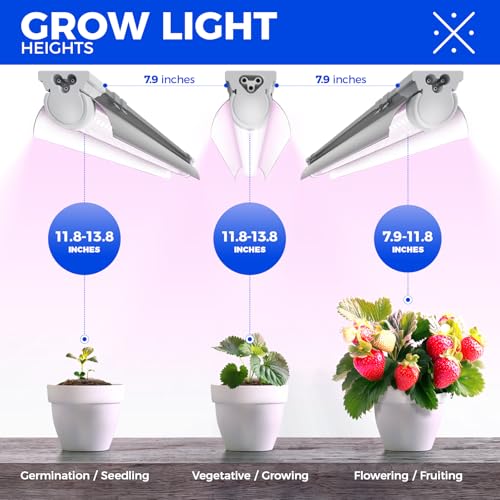 Barrina T8 2FT Growing Light, Full Spectrum Indoor Plant Light, 4 Packs - color: Pinkish White, size: 2FT-4 Packs