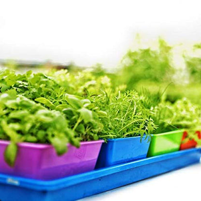 Bootstrap Farmer 5x5 Trays 40 Pack in Purple, Extra Thick Heavy Duty Inserts for Microgreens, Wheatgrass, and Seed Starting - color: Purple, size: 40 Pack