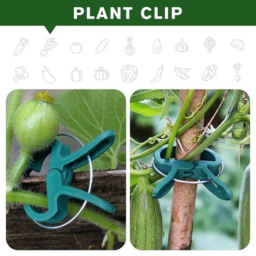 Plant Clips for Climbing Plants, Garden Support for Tomatoes & Vine - size: 20 Small + 20 Big