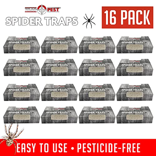 Trap a Pest Indoor Sticky Spider Traps - Glue Traps - 16 Pack - size: 16 Pack