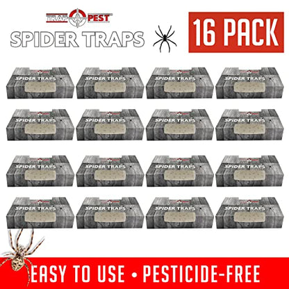 Trap a Pest Indoor Sticky Spider Traps - Glue Traps - 16 Pack - size: 16 Pack