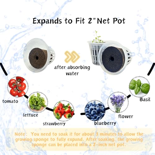 Refill Grow Sponges for Click and Grow Pods, 20-Count Seedless
