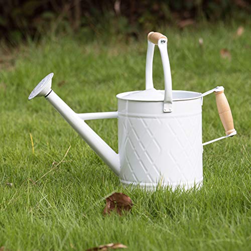 1 Gallon White Metal Watering Can with Wooden Handles - color: White, size: 1 Gallon