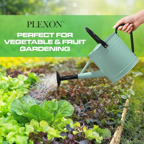 Plexon Metal Watering Can Outdoor 1 Gallon, Flower Plant Gardening Garden Large Watering Can Pot, Black Galvanized Steel Handles and Removable Spray Spout, Aqua Mist Blue - color: Aqua Mist Blue