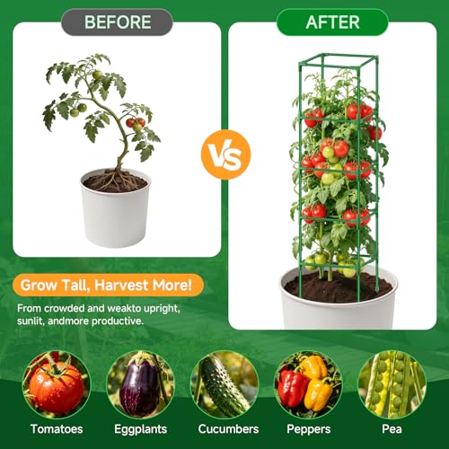 3 Pack Square Tomato Cage Heavy Duty Rust-Resistant Metal Tomato Trellis