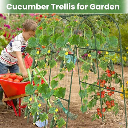 Cucumber Trellis, Metal Garden Arch Trellis for Raised Bed, 32 x 48inch U-Shape Garden Trellis for Climbing Plants Outdoor, Vegetables Fruit Plant Support with Netting, Gardening Supplies (Green) - size: 32 x 48 inch