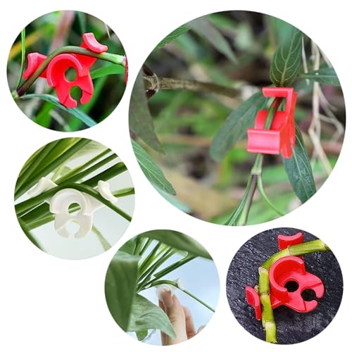 80 Pcs Low Stress Training Clips, 90 Degrees Plant Trainer, Bud Benders, Plant Stem Support Bender for Plants - White and Green - color: 80 Pcs White and Green