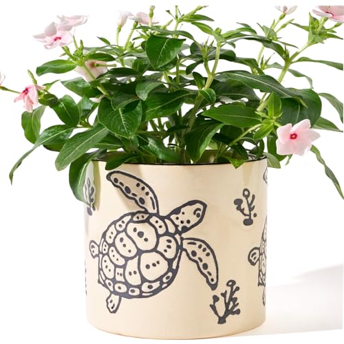 STHIE 5 Inch Ceramic Plant Pots for Indoor Plant with Drainage, Sea Turtle - color: Sea Turtle