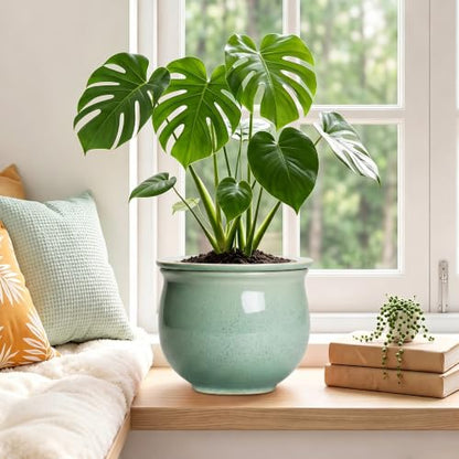 Ceramic Self Watering Planter, 8 Inch African Violet Pots, Green - color: Green, size: 8 Inch