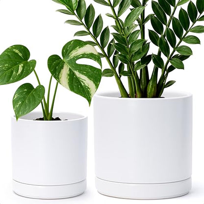 D'vine Dev 2-Pack Ceramic Pots with Saucers, 6/8 in, White, 94-G-M-1 - color: White, size: Medium