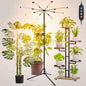 FECiDA Bright Standing Grow Lights for Tall Indoor Plants, Big Bonsai Tree - size: 8-Tube