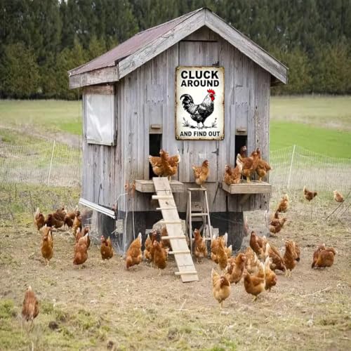 Funny Chicken Coop Sign Chicken Cluck Around and Find Out 8x12in - color: TPH375-US