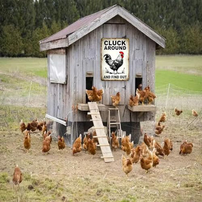 Funny Chicken Coop Sign Chicken Cluck Around and Find Out 8x12in - color: TPH375-US