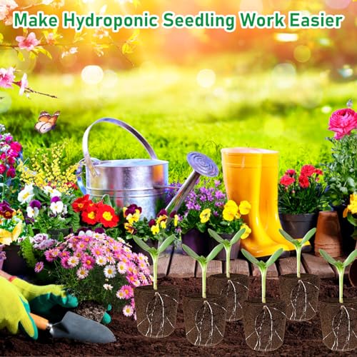 50P Seed Starter Sponge for Germinate Quickly Rapid Rooter Plug