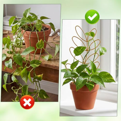 12.2 Inch Small Trellis for Potted Plants Indoor Plant Trellis