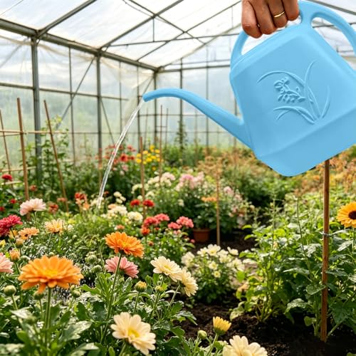 Plant Watering Can - Sky Blue - 1/2 Gallon - color: Sky Blue