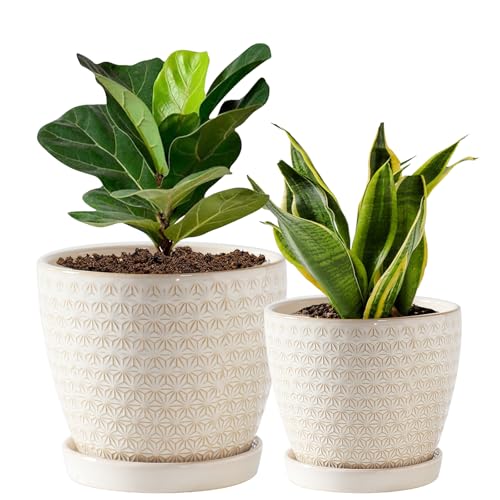 Plant Pots, Flower Pots, Planters for Indoor Plants(6.5+5.5inch), Flower Pots for Indoor Plant with Drainage Hole and Saucer, Ceramic Pots for Plants with Hole Mesh Pad,Reactive Glaze White - color: Reactive Glaze White