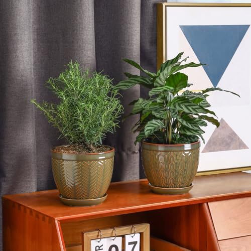Sureasy 6.5 Inch Ceramic Plant Pots Set of 2, Green Embossed - color: Green, size: 6.5 inch