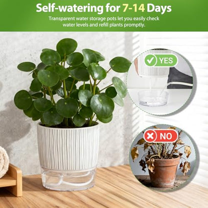 3 Pack Self Watering Pots Set, 4 Inch Self Watering Pots for Indoor Plants - color: Small, 3pcs Black Stripes