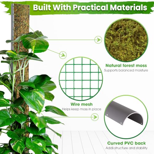 DUSPRO 59" Large D-Shape Moss Pole for Big Climbing Plants, (1pc, 59'') - size: 59" D SHAPED MOSS POLE