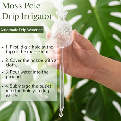 4 Pack 24 Inch,Self Watering Plastic Moss Pole for Monstera - size: 4-pack - 24 inches - with watering can