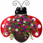 Ladybug Metal Wall Planter, Wall Mount Hanging Succulent Pot with Drainage - color: Red Ladybug
