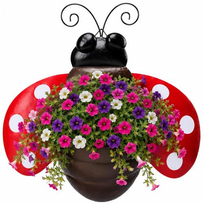 Ladybug Metal Wall Planter, Wall Mount Hanging Succulent Pot with Drainage - color: Red Ladybug