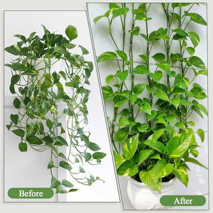 100 Pcs Plant Climbing Wall Fixture Clips, White Plant Fixer with Self-Adhesive Hook, Fixing Clip Vines Holder for Indoor Outdoor Plants Support Cable Wire (Medium)
