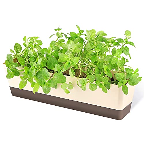 GREANER Window Boxes, 1 Pack 16 x3.8 Inch Indoor Rectangle Planter, Herb Succulent Cactus Window Box with Saucer, Modern Plastic Plant Pot for Windowsill, Garden Balcony, Home Office Outdoor Decor - size: 1Pack/16x3.8in