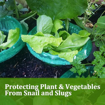 Fshow Slug & Snail Collars,30pcs Snail Garden Cloches,Snail Collar Protects Plants to Get Better. - color: green 30pcs