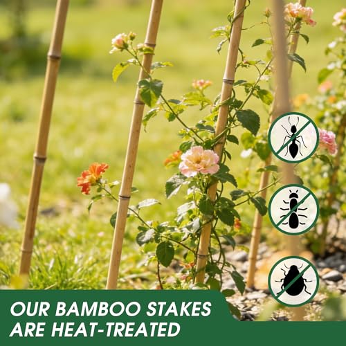 65 Pcs Bamboo Plant Stakes 4 Feet, Oltara Natural Bamboo Sticks Garden Stakes for Climbing Plants Support, Bamboo Poles,Potted Plants, Tomatoes, Beans, Flowers, Trees - size: 4 Feet-65 Pack