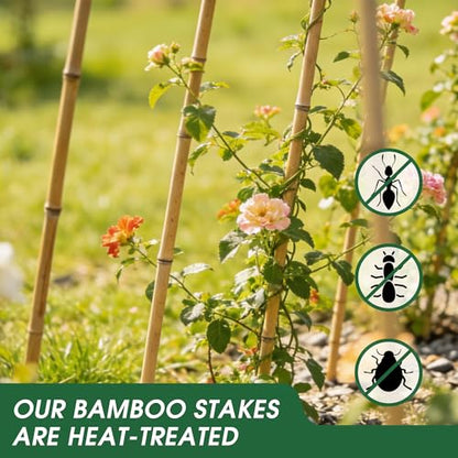 65 Pcs Bamboo Plant Stakes 4 Feet, Oltara Natural Bamboo Sticks Garden Stakes for Climbing Plants Support, Bamboo Poles,Potted Plants, Tomatoes, Beans, Flowers, Trees - size: 4 Feet-65 Pack