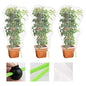 MR FIVE 3 PCS Large Drawstring Plant Covers,Bird Barrier Netting Mesh with Drawstring,Reusable Garden Netting Mesh with Drawstring,Plant Cover for Protect Fruit Tree Vegetable Flower,4.6 ftX 3.3 ft