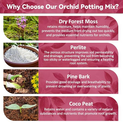 Riare 1QT Orchid Potting Mix for Repotting, Pre-Mixed & Ready-to-Use - size: 1 Quart