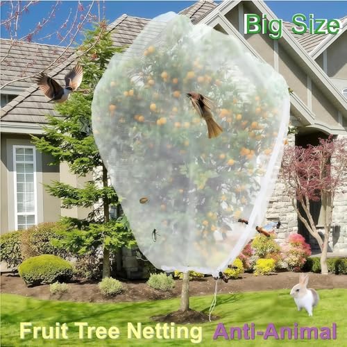 Extra Large Fruit Tree Netting 2 Pack 12×10Ft with Drawstring & Zipper - Reusable Plant Protection Bag, Heavy Duty PE Mesh Cover for Blueberry Bushes - Blocks Birds/Deer/Squirrels - size: 12×10Ft