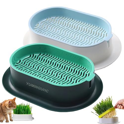 2Pcs Cat Grass Planter for Indoor Hydroponic Wheatgrass Seed Sprout Tray Organic Cat Grass Growing Kit (No Seeds Included) Soilless Pot Planting Box (G) - color: G