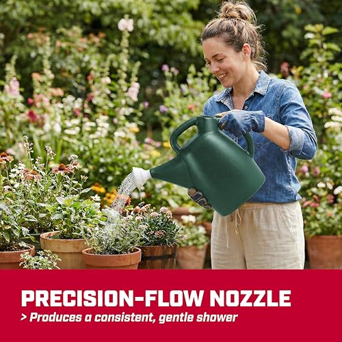 CHAPIN 48009 2-Gallon Watering Can, Easy-Pour Design for Garden Use - style: 2 Gallons, Green