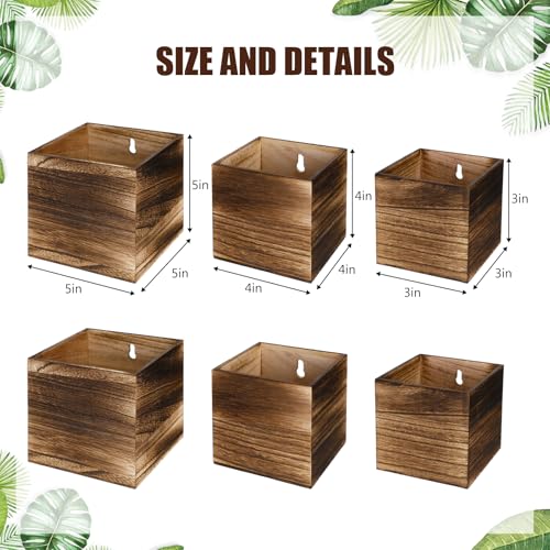 Ziliny 6 Pack Wooden Wall Planters Rustic Hanging Wall Planters, 3 Sizes - size: 3 Sizes