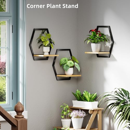3 Pack Hexagon Wall Plant Stands, 9 Inch Wood Shelf Black - color: black