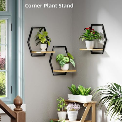 3 Pack Hexagon Wall Plant Stands, 9 Inch Wood Shelf Black - color: black