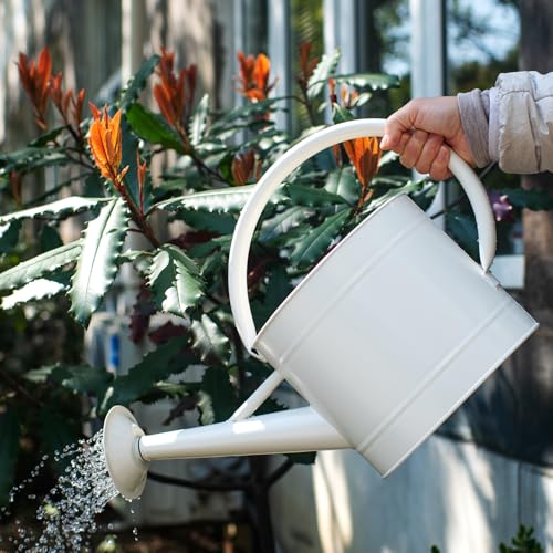 1.3 Gallon Matte Cream Metal Watering Can, Removable Spout - color: Velvet Cream, size: 1.3 Gallon
