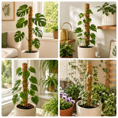 Moss Pole for Monstera, 4 Pack 16in Stackable Plant Support