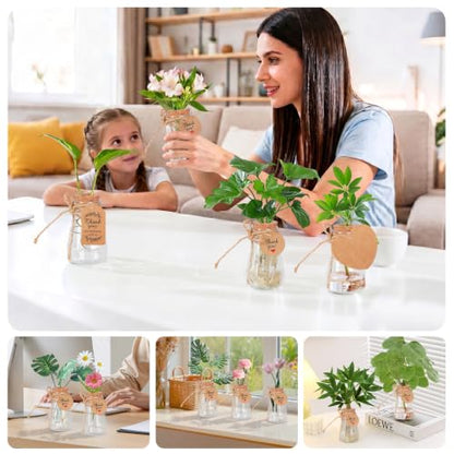 30 Pack Plant Propagation Stations, 3.35 in Shatterproof Plastic