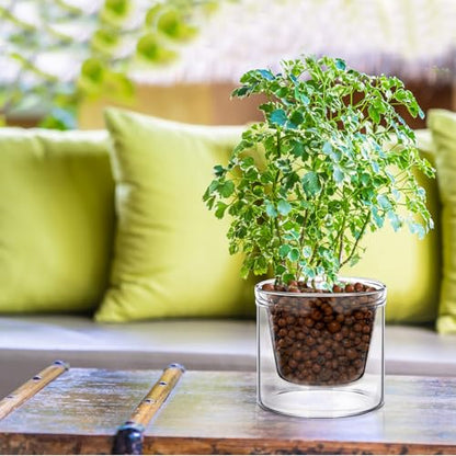 Baderke 2 Pcs 4 Inch Self Watering Pot for Indoor Plants Clear Glass Planter Small Plant Pot with Saucer Reservoir Drainage Holes Bottom Watering Pot for African Violet Orchid Flowers Houseplant - style: /