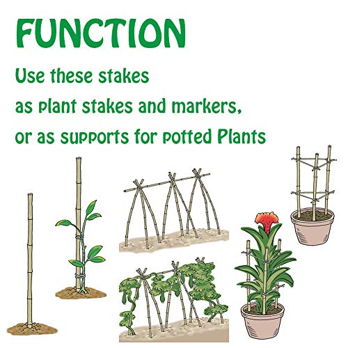 Mininfa Natural Bamboo Stakes 4 Feet, Eco-Friendly Garden Stakes, Plant Stakes Supports Climbing for Tomatoes, Trees, Beans, 25 Pack