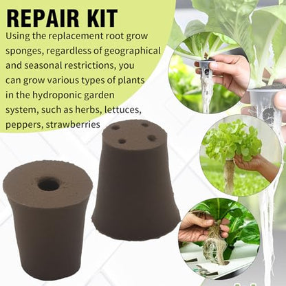 60Pack Grow Sponges, Seed Starter Plugs for Seeds and Cuttings, Suitable for Hydroponic Systems and Soil Cultivation for Indoor and Outdoor Plant Rooting Herbs Vegetables Cultivation Planting Sponges